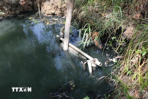 Ống nước thải của Công ty TNHH An Hưng Nông đổ ra kênh tại ấp 3, xã Tân Đông, huyện Thạnh Hóa, tỉnh Long An. (Ảnh: Thanh Bình/TTXVN)