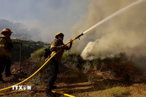 Lực lượng cứu hỏa nỗ lực dập lửa cháy rừng tại Gorman, California, Mỹ. (Ảnh: THX/TTXVN)