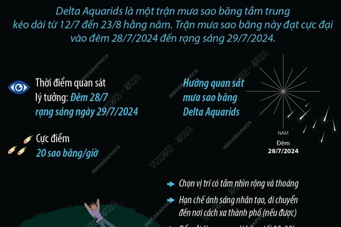 Những điều cần biết về trận mưa sao băng Delta Aquarids 2024 