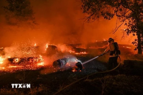 Lính cứu hỏa nỗ lực dập lửa cháy rừng tại Chico, California. (Ảnh: Getty Images/TTXVN)