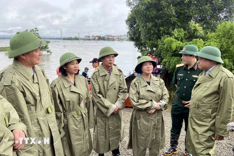 Các đồng chí Thường trực Thành ủy Hà Nội kiểm tra công tác phòng chống lũ tại xã Nam Phương Tiến, huyện Quốc Oai. (Ảnh: Nguyễn Văn Cảnh/TTXVN)