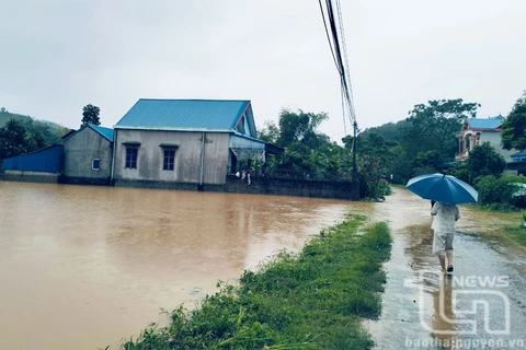 Mưa lớn khiến nhiều diện tích lúa trên địa bàn xã Minh Tiến bị ngập úng cục bộ. (Nguồn: Báo Thái Nguyên)