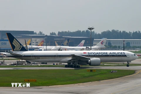 Máy bay của Hãng hàng không Singapore Airlines. (Ảnh: AFP/TTXVN)