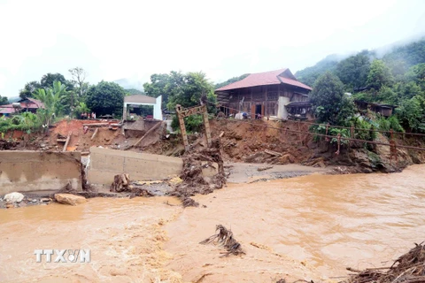 Mưa lũ làm một cầu treo tại khu vực bản Nhụng Dưới, xã Chiềng Nơi, huyện Mai Sơn, Tuyên Quang, bị gãy sập, nhiều hộ dân bị mất nhà cửa, tài sản. (Ảnh: Quang Quyết/TTXVN)