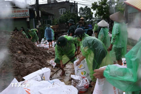 Hà Nội: Quân đội cùng người dân gia cố đê sông Tích ở Quốc Oai