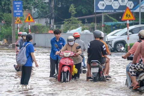 Nước ngập trên đường Cách Mạng Tháng Tám, quận Bình Thủy, Cần Thơ, trong đợt triều cường đầu tháng 9 âm lịch (ngày 6/10). (Ảnh: Thanh Liêm/TTXVN)