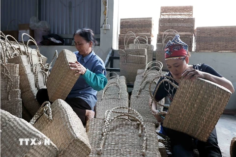 Sản phẩm xưa kia của Làng chủ yếu từ cỏ tế (cây guột), sau đó phát triển làm từ các nguyên liệu khác, như tre, trúc, bẹ ngô, bẹ chuối, bèo…, vừa đáp ứng nhu cầu trong nước, vừa được xuất khẩu sang nhiều thị trường trên thế giới.