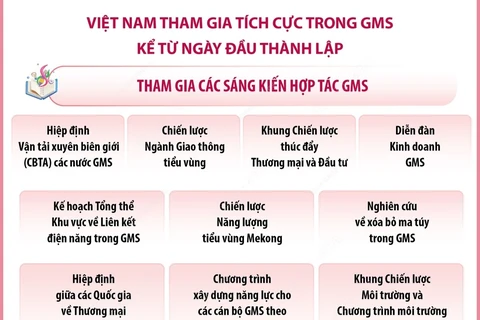 Hợp tác kinh tế tiểu vùng Mekong mở rộng và sự tham gia của Việt Nam