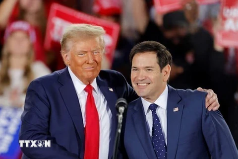 Ngày 11/11, Tổng thống đắc cử Mỹ Donald Trump đã chọn Thượng nghị sỹ Marco Rubio của đảng Cộng hòa làm Ngoại trưởng trong chính quyền sắp tới. Như vậy, chính trị gia sinh ra ở Florida này sẽ trở thành người Mỹ gốc Latinh đầu tiên đảm nhiệm chức vụ người đứng đầu ngành ngoại giao Mỹ, sau khi ông Trump nhậm chức vào tháng 1/2025. (Ảnh: REUTERS/TTXVN)