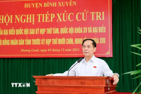 Phó Thủ tướng Chính phủ, Bộ trưởng Bộ Ngoại giao Bùi Thanh Sơn phát biểu tại buổi tiếp xúc cử tri. (Ảnh: Nguyễn Thảo/TTXVN)