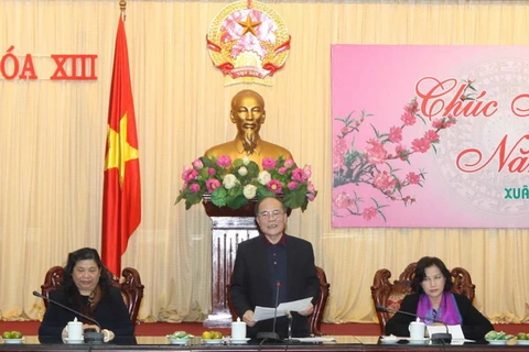 Chủ tịch Quốc hội Nguyễn Sinh Hùng phát biểu tại buổi gặp mặt. (Ảnh: An Đăng/TTXVN)