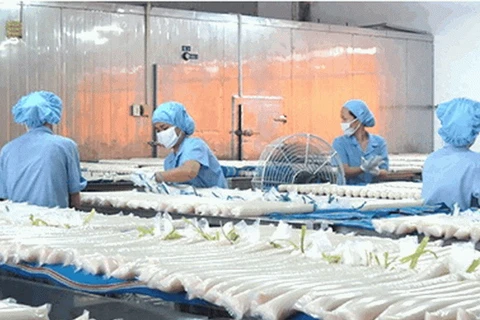 Một công đoạn sản xuất bánh phồng tôm của Công ty Cổ phần xuất nhập khẩu Sa Giang. (Nguồn: dongthap.gov.vn)