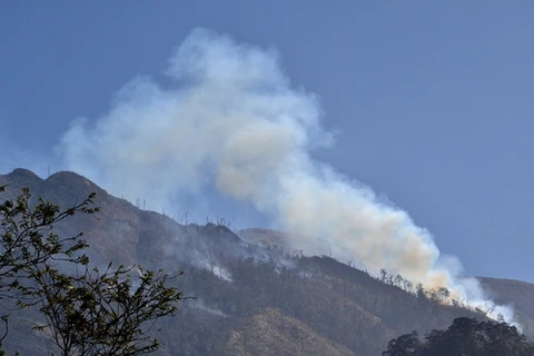 Hiện trường một vụ cháy rừng ở vườn quốc gia Hoàng Liên Sơn. (Ảnh: Lục văn Toán/TTXVN)