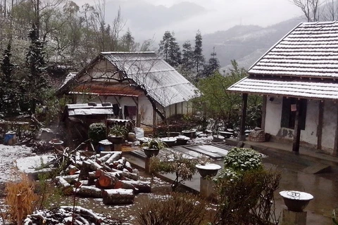 Tuyết rơi phủ trắng trên mái nhà, vườn tược của người dân ở đèo Ô Quý Hồ, thị trấn Sa Pa, tỉnh Lào Cai ngày 19/2. (Ảnh: Nguyễn Thắng/TTXVN)