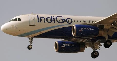 Máy bay của hãng Indo Go (Nguồn: AFP)