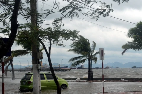 Nhiều tuyến phố ở Hạ Long, tỉnh Quảng Ninh bị ngập do bão số 14 (tháng 11/2013). (Ảnh: Xuân Tùng/TTXVN)