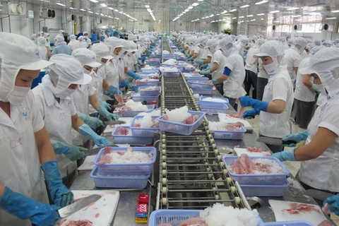 Chế biến cá tra xuất khẩu tại Công ty chế biến và đông lạnh Việt An ở An Giang. (Ảnh: Phương Vy/TTXVN)