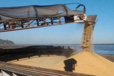 Argentina đứng đầu thế giới trong xuất khẩu cám bã đậu tương. (Nguồn: elcampohoy.com)