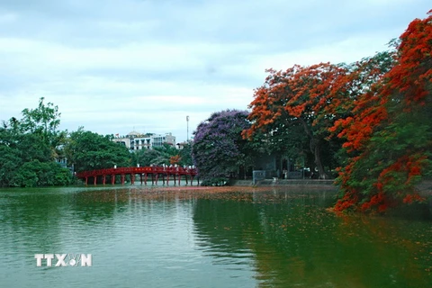 Hà Nội: Hơn 270 tỷ đồng quy hoạch cây xanh, công viên, hồ 