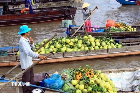 Cần Thơ mở thêm nhiều tour mới, khai thác tiềm năng du lịch