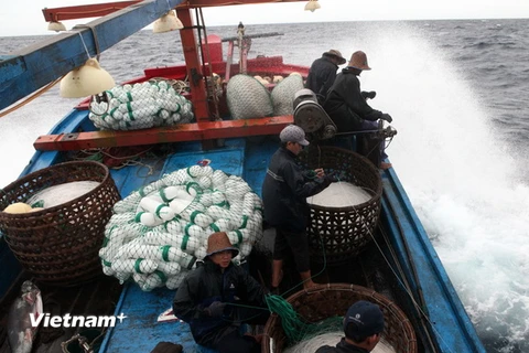 Phú Yên: Gần 53 tỷ đồng cho ngư dân khai thác hải sản xa bờ