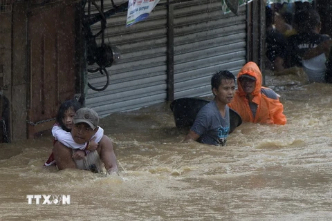 Philippines: Bão Fung-Wong gây thiệt hại gần 1,3 triệu USD