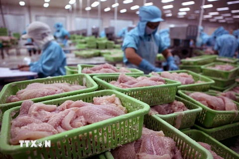 Việt Nam đứng đầu về xuất khẩu sản phẩm cá sang Colombia 