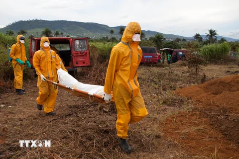 WHO: Tỷ lệ tử vong ở Tây Phi do nhiễm virus Ebola lên đến 70%