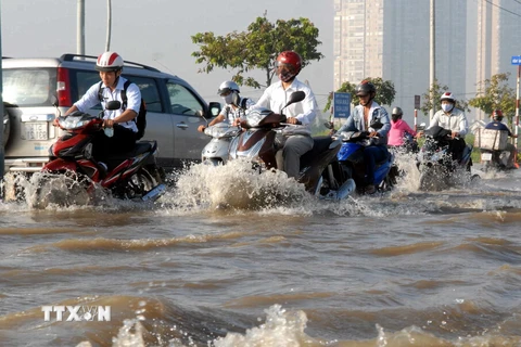 Mưa to kéo dài kết hợp với triều cường gây ngập úng ở Nam Bộ