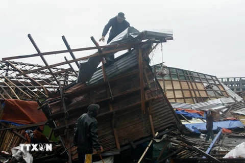 Philippines đóng cửa nhiều trường học, công sở do bão Hagupit
