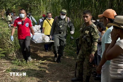 Colombia: FARC tuyên bố trả tự do cho các binh sỹ chính phủ