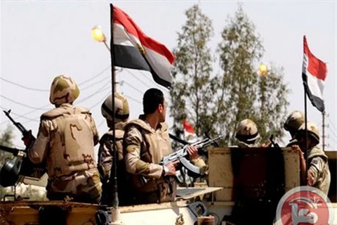Phiến quân tại Sinai sát hại sỹ quan quân đội của Ai Cập