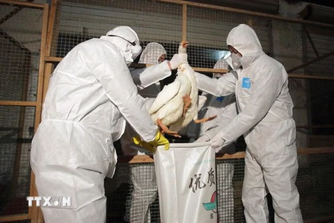 Trung Quốc lại có thêm một người tử vong do nhiễm cúm H7N9