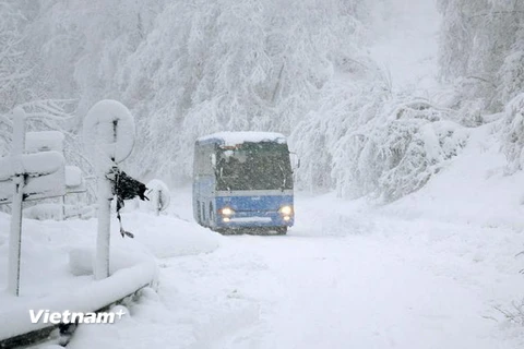 Bão tuyết hoành hành, giao thông tại miền Bắc Italy tê liệt