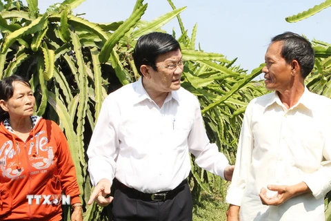 Chủ tịch nước Trương Tấn Sang thăm, làm việc tại Bình Thuận