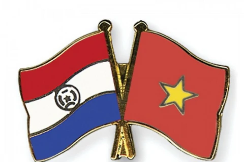 Hai Bộ Ngoại giao Việt Nam và Paraguay tham khảo chính trị