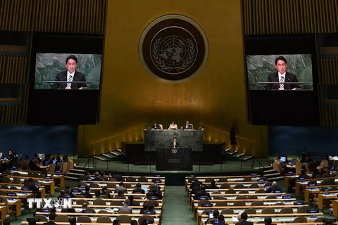 Việt Nam cam kết thực hiện nghiêm các quy định Hiệp ước NPT