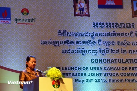 Phó Thủ tướng Chính phủ Hoàng gia Campuchia Men Sam An. (Ảnh: Xuân Khu/Vietnam+)