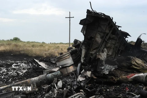 Xác máy bay MH17 tại khu vực rơi, gần thị trấn Shaktarsk, miền đông Ukraine. (Ảnh: AFP/TTXVN)