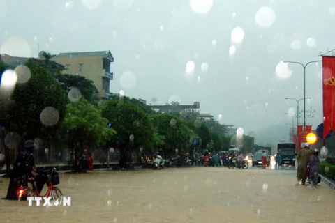 Mưa lớn gây ngập đường Nguyễn Văn Cừ, thành phố Hạ Long gây ách tắc giao thông. (Ảnh: Văn Đức/TTXVN)
