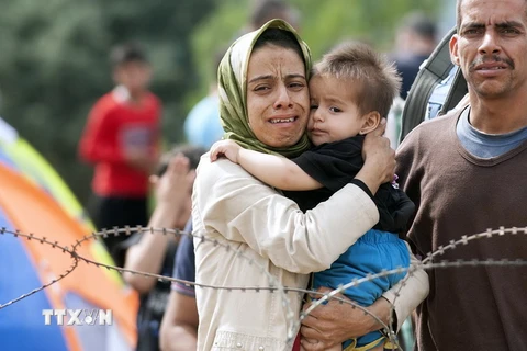 Người di cư tại khu vực biên giới Macedonia-Hy Lạp ngày 22/8 vừa qua. (Ảnh: AFP/TTXVN)