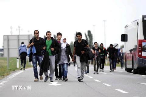 Dòng người tị nạn tại khu vực kiểm soát ở biên giới Áo và Hungary, gần Nickeldorf ngày 14/9 vừa qua. (Ảnh: AFP/TTXVN) 