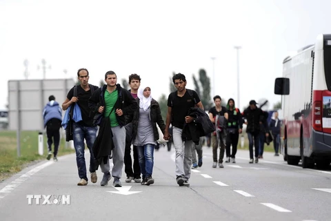 Dòng người tị nạn tại khu vực kiểm soát ở biên giới Áo- Hungary, gần Nickeldorf ngày 14/9 vừa qua. (Ảnh: AFP/TTXVN)