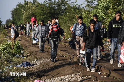 Người di cư tại khu vực biên giới Hungary-Serbia, gần thị trấn Horgos của Serbia ngày 14/9 vừa qua. (Ảnh: AFP/TTXVN)