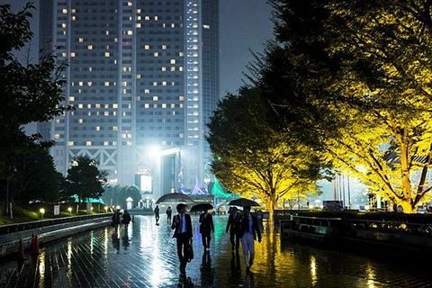 Người đi bộ qua cây được chiếu sáng trong một đêm mưa tại Tokyo ngày 16/10 vừa qua. (Nguồn: Reuters)