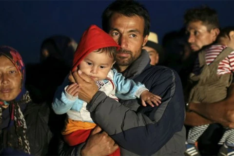 Hàng nghìn người di cưtiếp tục vượt biên từ Serbia sang Hungary. (Nguồn: Reuters)