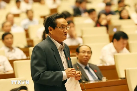 Đại biểu Quốc hội Thành phố Hồ Chí Minh Trần Du Lịch phát biểu ý kiến. (Ảnh: Phương Hoa/TTXVN)