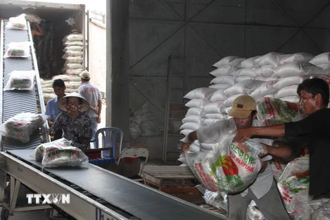 Vận chuyển gạo xuất khẩu tại Xí nghiệp Chế biến lương thực cao cấp Tân Túc, huyện Bình Chánh. (Ảnh: Đình Huệ/TTXVN)