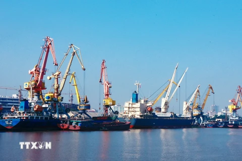Hệ thống cẩu, trục xếp dỡ hàng hóa, container tại Cảng Hải Phòng. (Ảnh: Lâm Khánh/TTXVN)