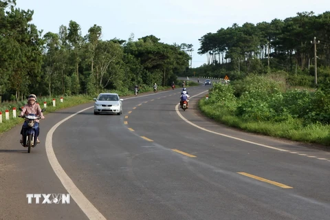 (Ảnh minh họa: Dương Giang/TTXVN)